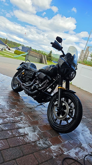 Harley-Davidson FXDLS Dyna Low Rider S MEGET PEN OG PÅKOSTET 14 of 17
