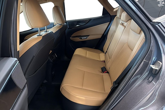 Lexus NX450h 10 of 28