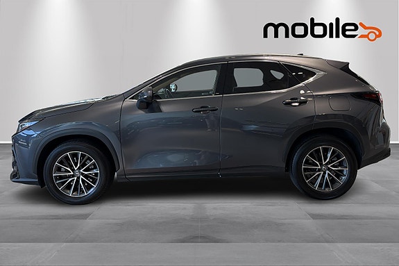 Lexus NX450h 21 of 28