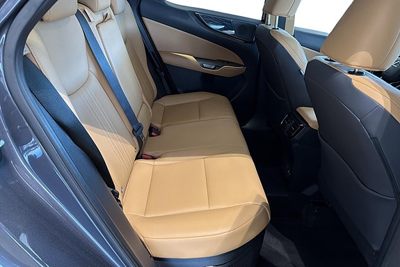 Lexus NX450h 23 of 28