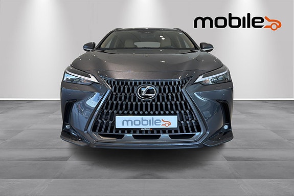 Lexus NX450h 20 of 28