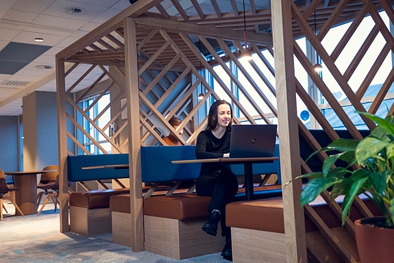 Bilde 1 av 2 i jobbannonse-galleriet