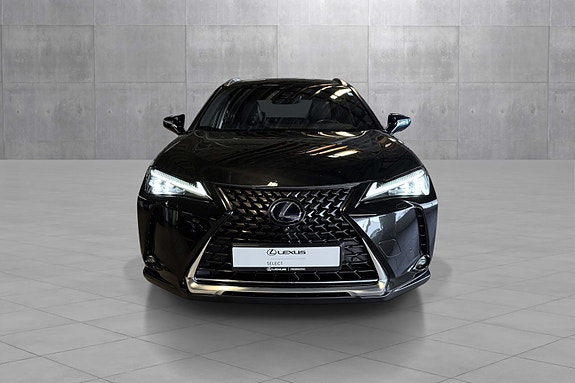 Lexus UX300e 8 of 19