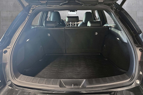 Lexus UX300e 19 of 19