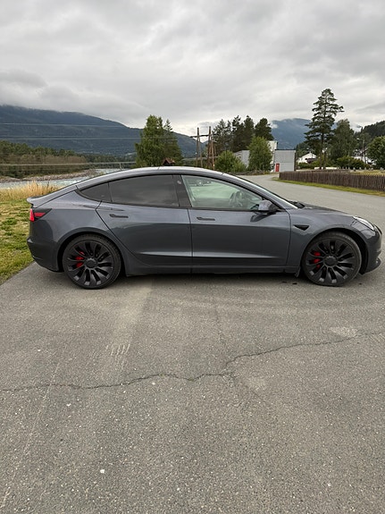 Tesla Model 3 4 of 20