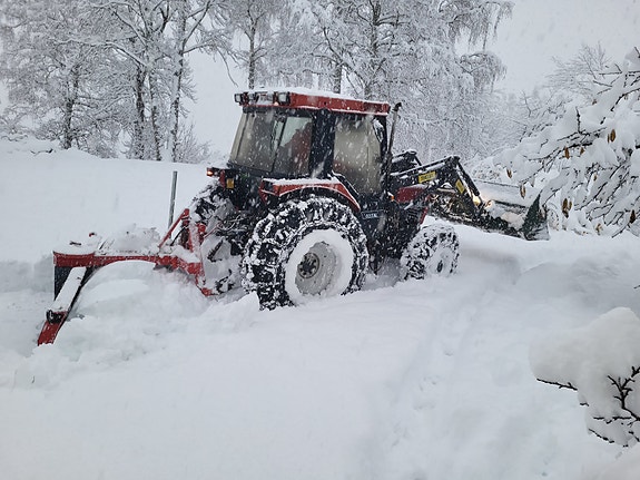 CASE IH 685 XL 8 of 15