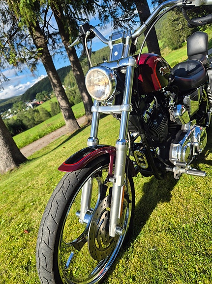 Harley-Davidson XL1200C 13 of 16