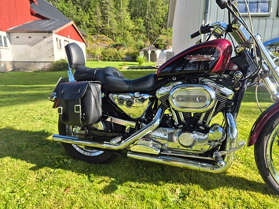 Harley-Davidson XL1200C 4 of 16