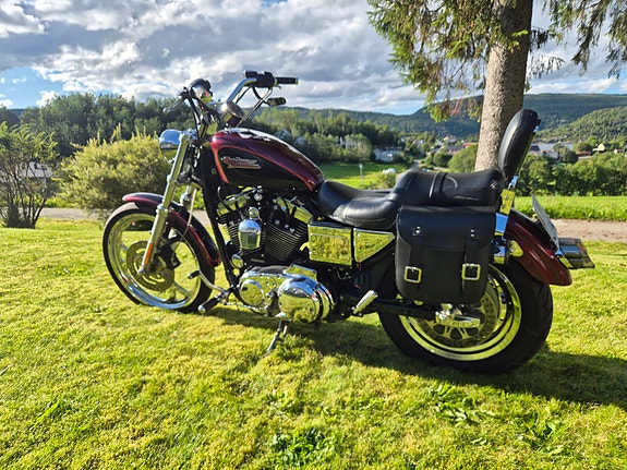 Harley-Davidson XL1200C 3 of 16