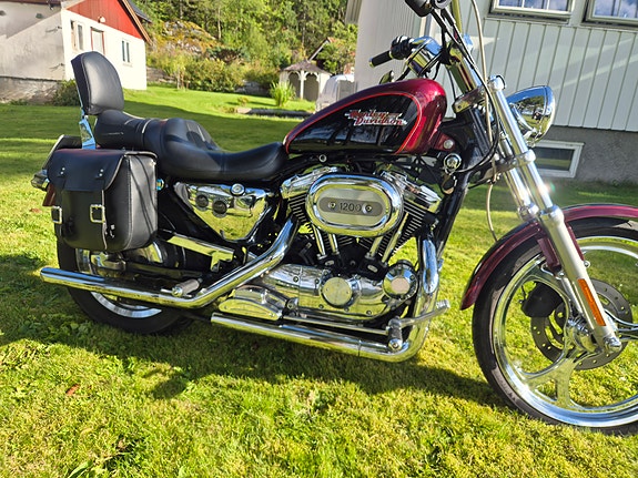 Harley-Davidson XL1200C 7 of 16