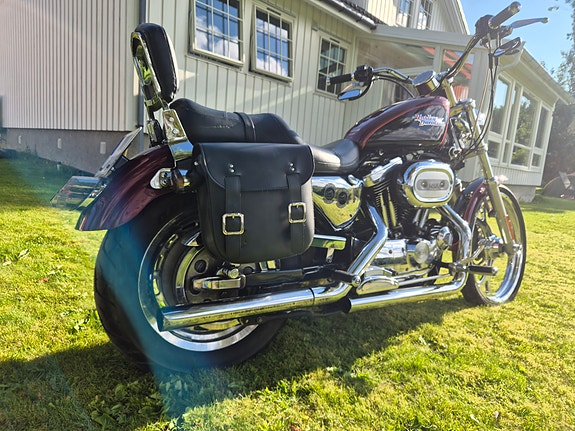 Harley-Davidson XL1200C 6 of 16