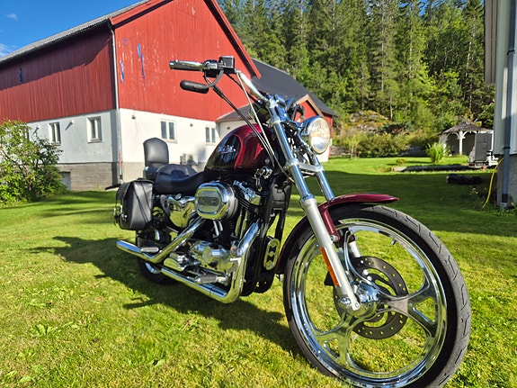 Harley-Davidson XL1200C 2 of 16