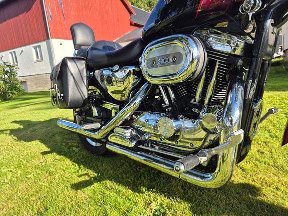 Harley-Davidson XL1200C 12 of 16