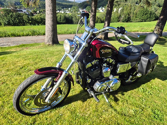Harley-Davidson XL1200C 8 of 16