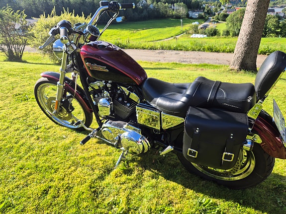 Harley-Davidson XL1200C 16 of 16