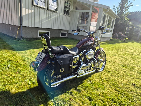 Harley-Davidson XL1200C 5 of 16