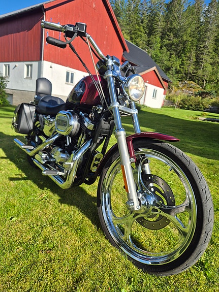 Harley-Davidson XL1200C 9 of 16