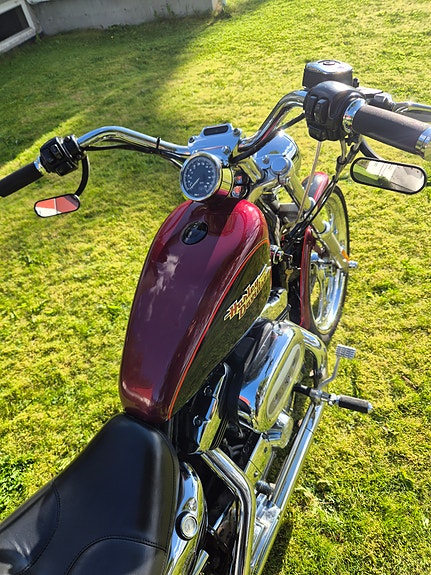 Harley-Davidson XL1200C 14 of 16
