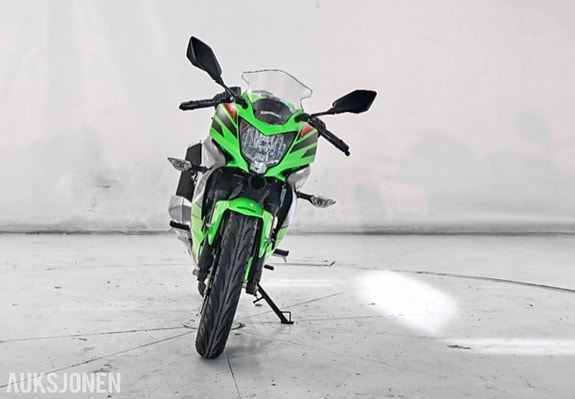 Kawasaki Ninja 125 3 of 8