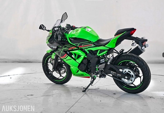 Kawasaki Ninja 125 8 of 8