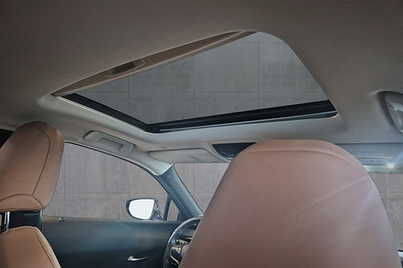 Lexus UX300e 21 of 22