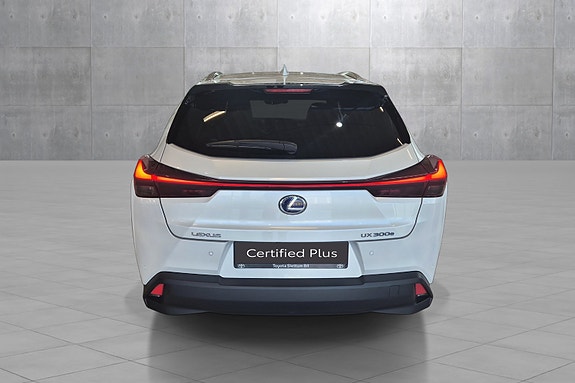 Lexus UX300e 4 of 5