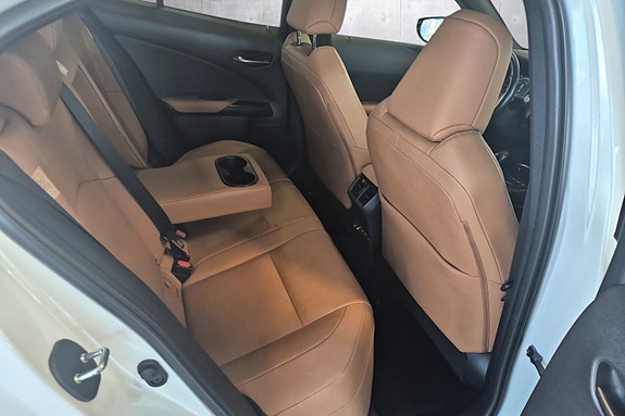 Lexus UX300e 18 of 22
