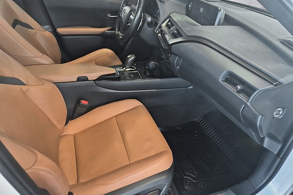 Lexus UX300e 19 of 22