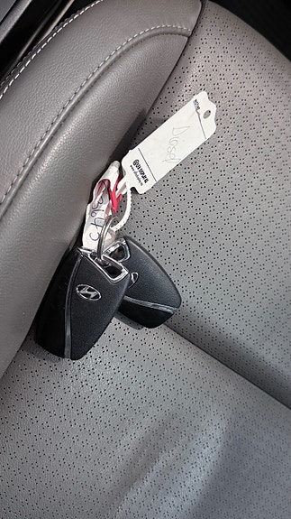 Hyundai Santa Fe 29 of 30
