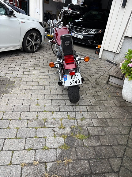 Suzuki VS 800 5 of 5