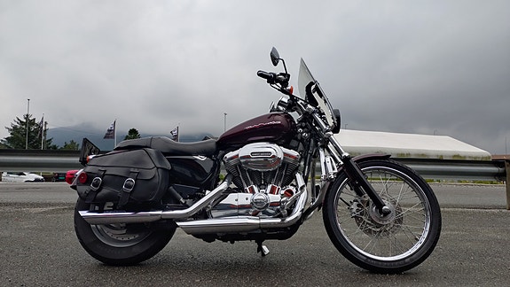 Harley-Davidson XL 883C Custom 2 of 8