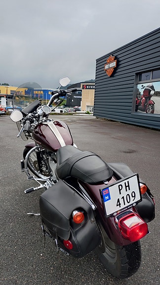 Harley-Davidson XL 883C Custom 4 of 8