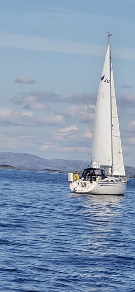 Godt holdt Bavaria 30 Cruiser, ny belg på seildrev,  formidler  frakt sjøveien. 5 of 30