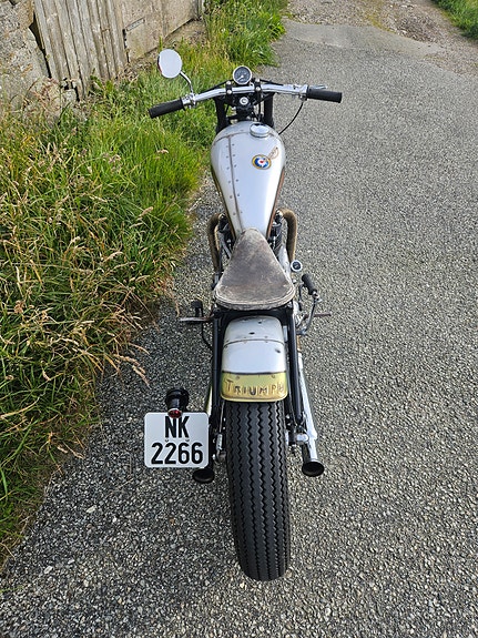 Triumph 5 of 17