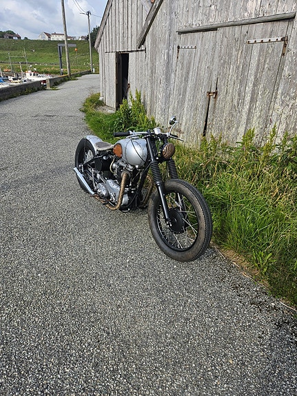 Triumph 3 of 17