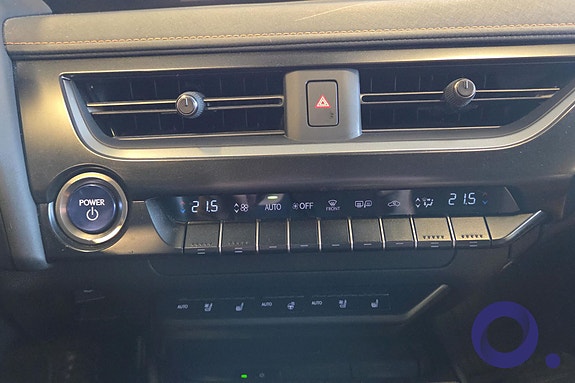 Lexus UX300e 22 of 30