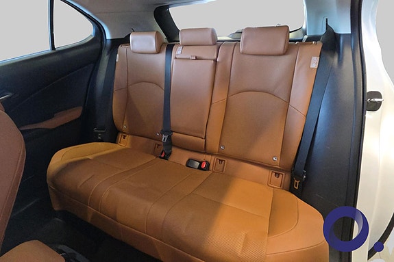 Lexus UX300e 18 of 30