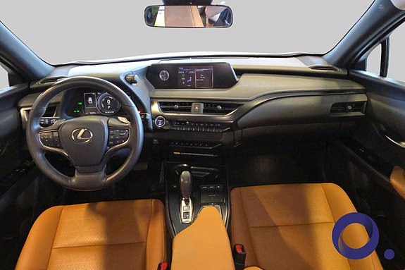 Lexus UX300e 17 of 30
