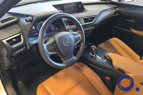Lexus UX300e 14 of 30