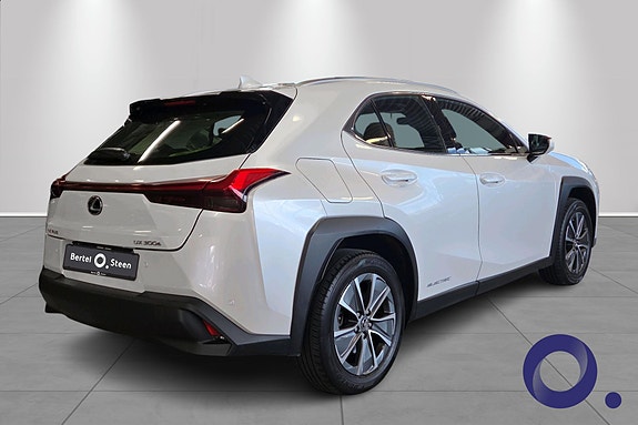 Lexus UX300e 5 of 5