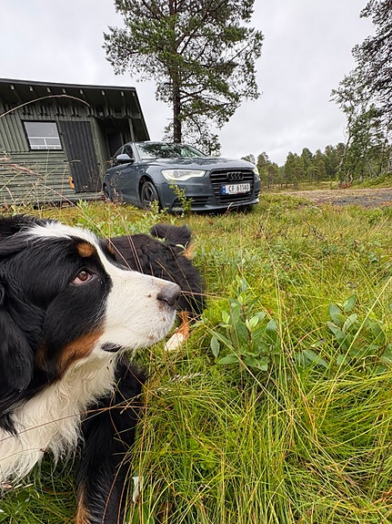 Audi A6 10 of 11