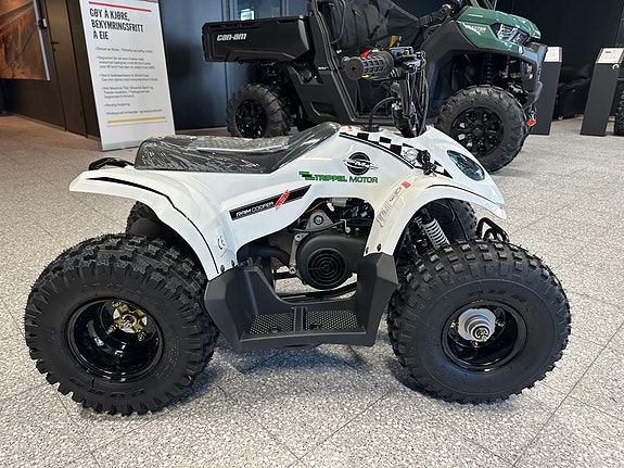 SMC Buzz Maxi 85 4 of 6