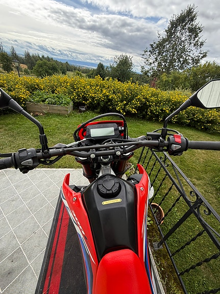 Honda CRF 300 L 10 of 30