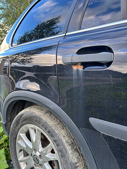 Volvo XC90 18 of 25