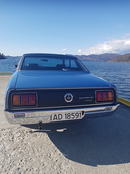 Datsun 7 of 19