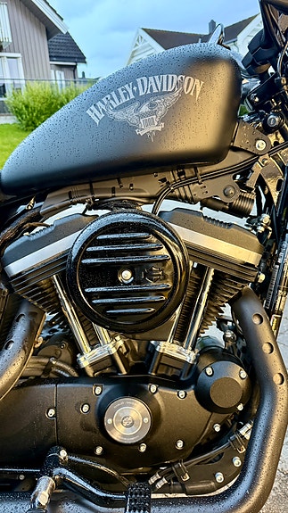 Harley-Davidson XL 883N Iron 6 of 29
