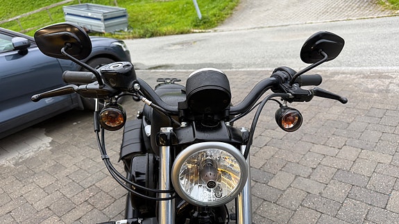 Harley-Davidson XL 883N Iron 16 of 29