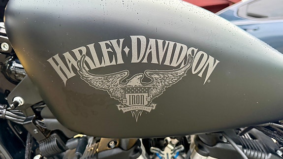 Harley-Davidson XL 883N Iron 22 of 29