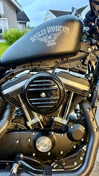 Harley-Davidson XL 883N Iron 24 of 29