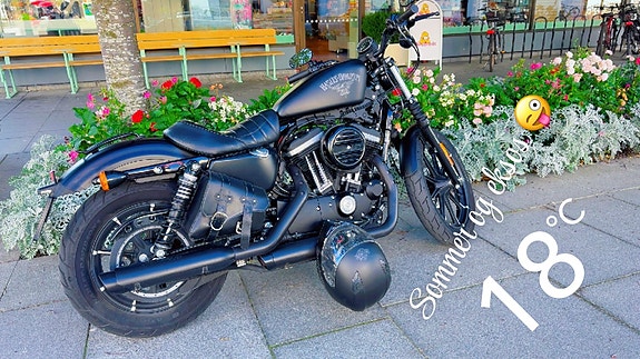 Harley-Davidson XL 883N Iron 26 of 29